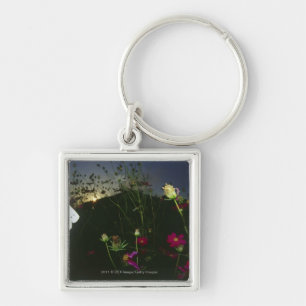 White Butterfly in flight at sunset Key Ring