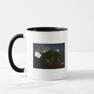 White Butterfly in flight at sunset Mug