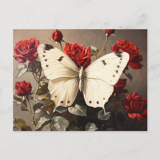White Butterfly Resting Among Vibrant Red Roses Postcard (Front)