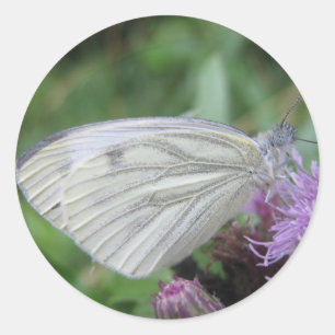 White butterfly sticker sheet