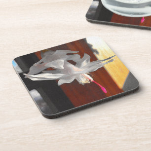 White Cactus Flower Coaster
