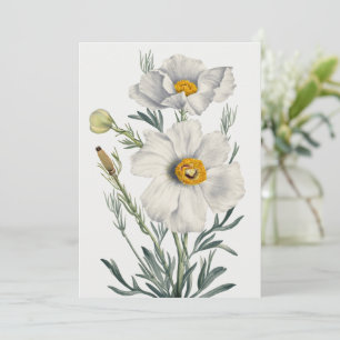 White California Tree Poppy Flowers Botanical Holiday Card