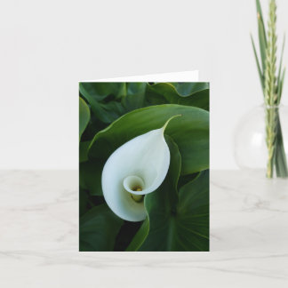 white calla green leaves greeting card