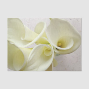 White calla lilies from above tissue paper