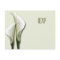 White Calla Lillies RSVP