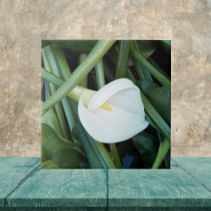 White Calla Lily and Green Foliage Floral Ceramic Tile