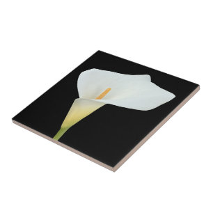 White Calla Lily Flower Backyard Garden Photo Ceramic Tile
