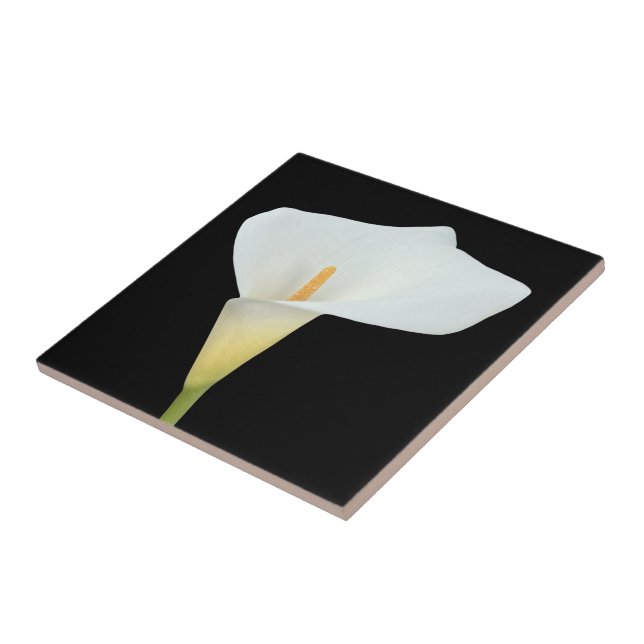 White Calla Lily Flower Backyard Garden Photo  Ceramic Tile (Side)