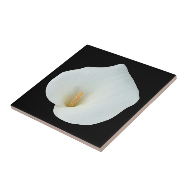 White Calla Lily Flower Backyard Garden Photo  Ceramic Tile (Side)