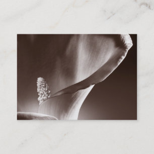 White Calla Lily Flower Black Background Business Card