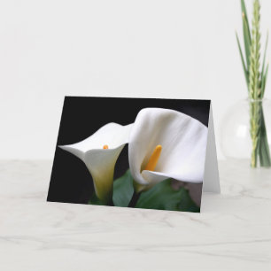 White Calla Lily Flower Greeting Card