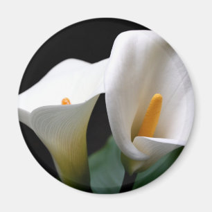 White Calla Lily Flower Round Magnet