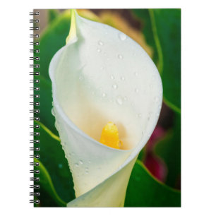 White Calla Lily Macro Botanical Photo Nature Art Notebook