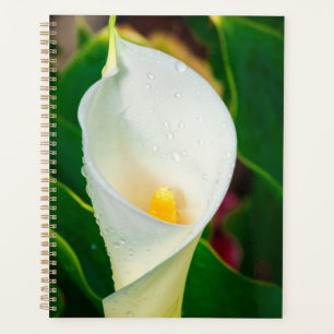 White Calla Lily Macro Botanical Photo Nature Art Planner