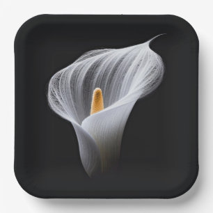 White Calla Lily On Black Paper Plate