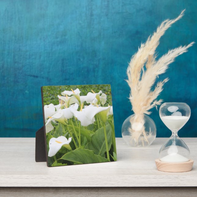 White Calla Lily   Plaque (Insitu)