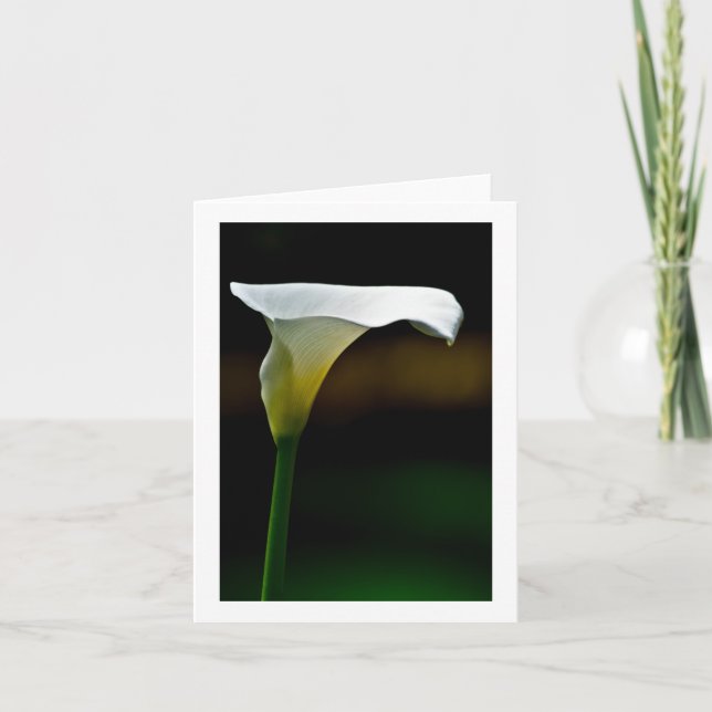 White Calla Lily Stationary Note Card (Front)