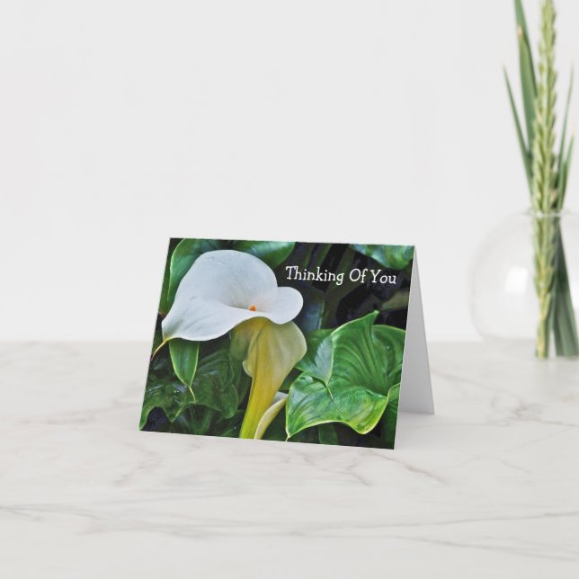 WHITE CALLA LILY, "THINKING OF YOU" (CUSTOMIZABLE) CARD (Front)