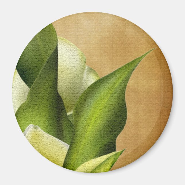 White Callas Magnet (Front)