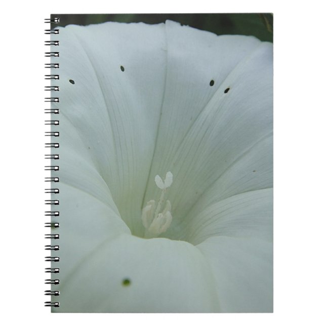 White Calyx Notebook (Front)