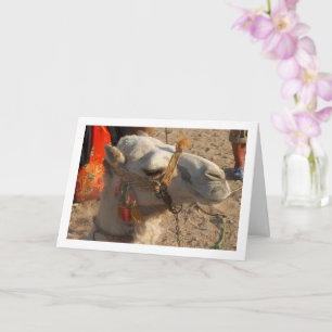 White Camel in Desert Card