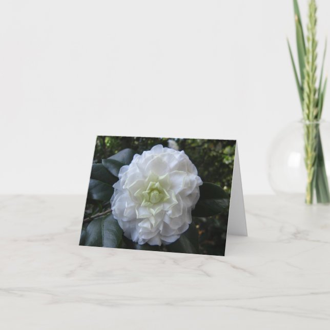 White Camelia Photo Folded Note Card (Front)