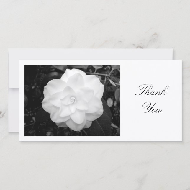 White Camelia - Thank You Card (Front)