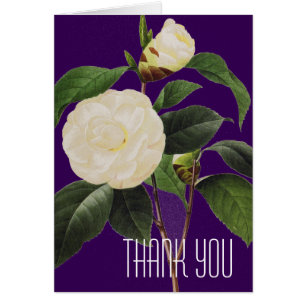 White Camellia, 1833