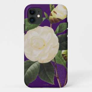 White Camellia, 1833 iPhone 11 Case
