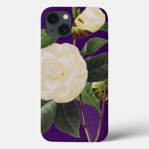 White Camellia, 1833 iPhone 13 Case