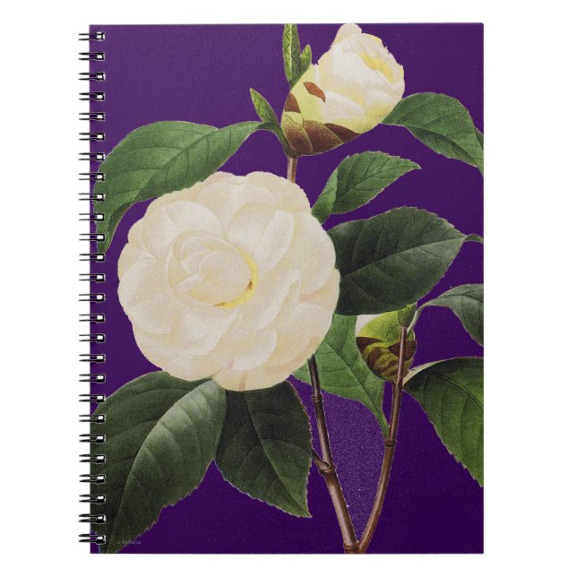 White Camellia, 1833 Notebook (Front)