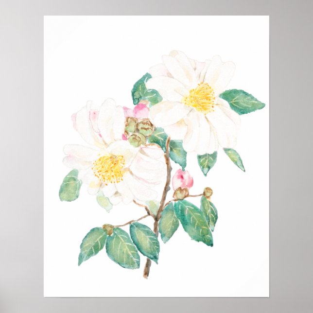 white camellia flowers watercolor  poster (Front)