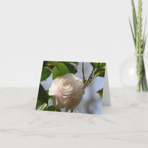 White Camellia Folded Thank You Card