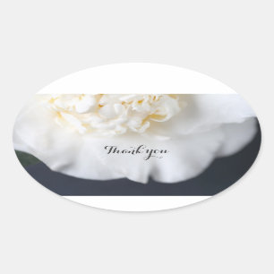 White camellia on dark background oval sticker