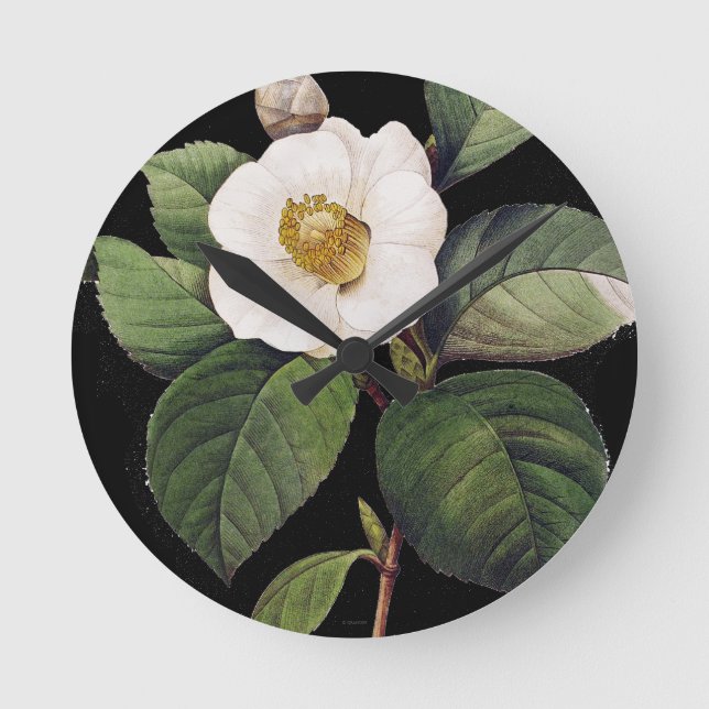 White Camellia Round Clock (Front)