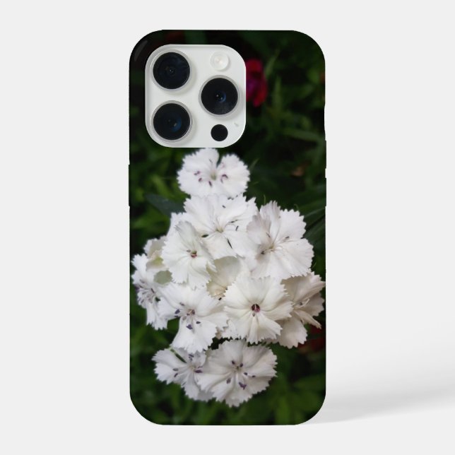 White Carnation Flowers iPhone Case (Back)