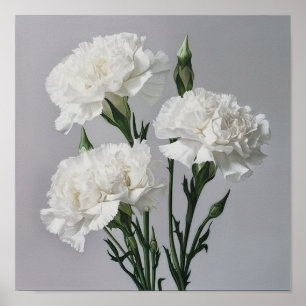 White Carnations Flower Art Print Poster