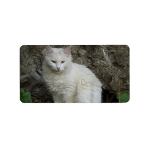 White Cat Address Label