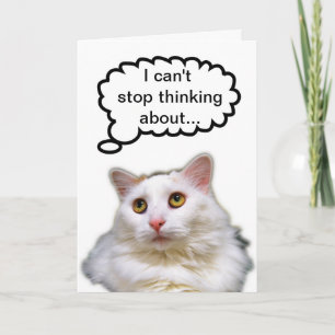 White Cat Belated Birthday Humour Card