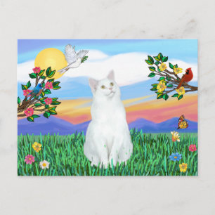 White Cat - Bright Life Postcard