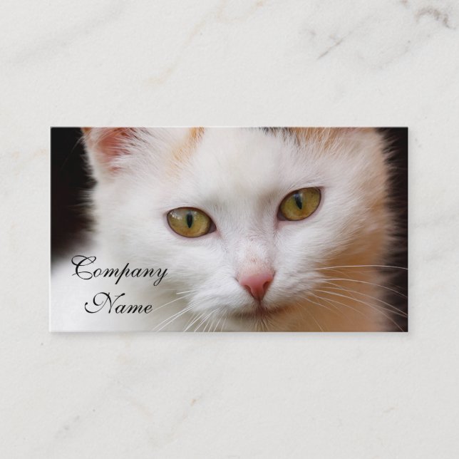 White cat business card (Front)