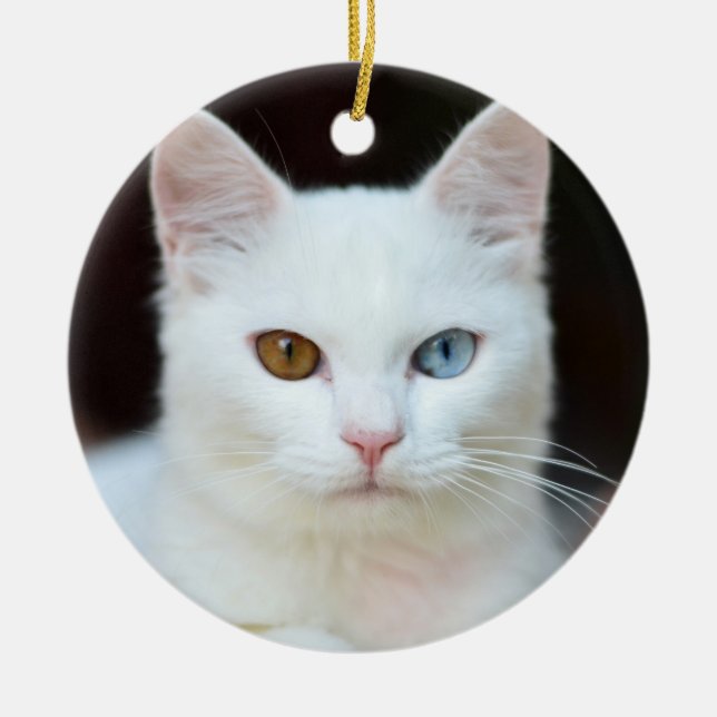 White Cat Ceramic Ornament (Front)