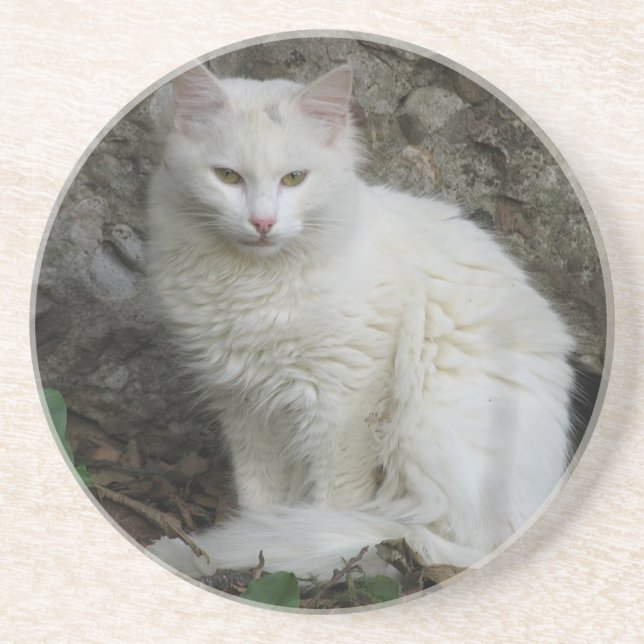 White Cat Coaster (Front)