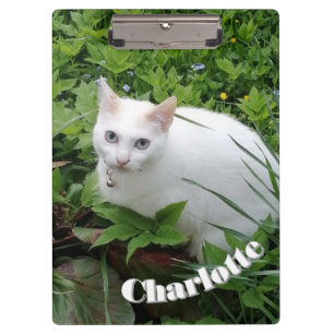 White Cat , Customise Name and Photo, Clipboard