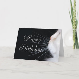 White Cat Design 1 Happy Birthday Greeting Card