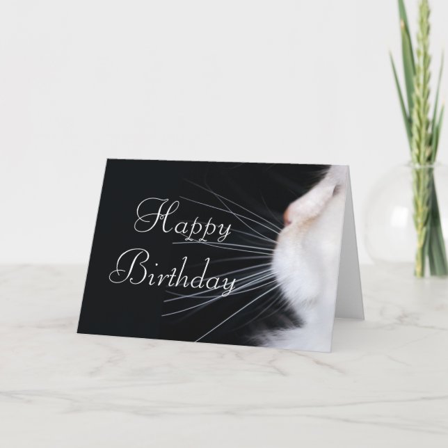 White Cat Design 1 Happy Birthday Greeting Card (Front)