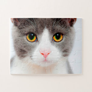 White Cat Face, Easy Cat Jigsaw Puzzle