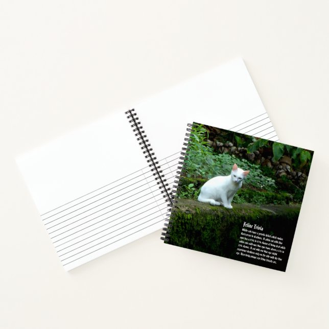 White Cat Hardcover Notebook (Inside)