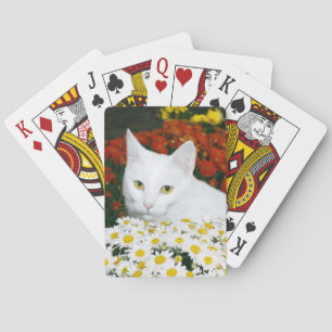 White cat in fall flowers playing cards