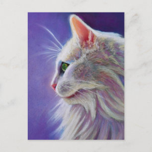 White Cat in Profile Postcard
